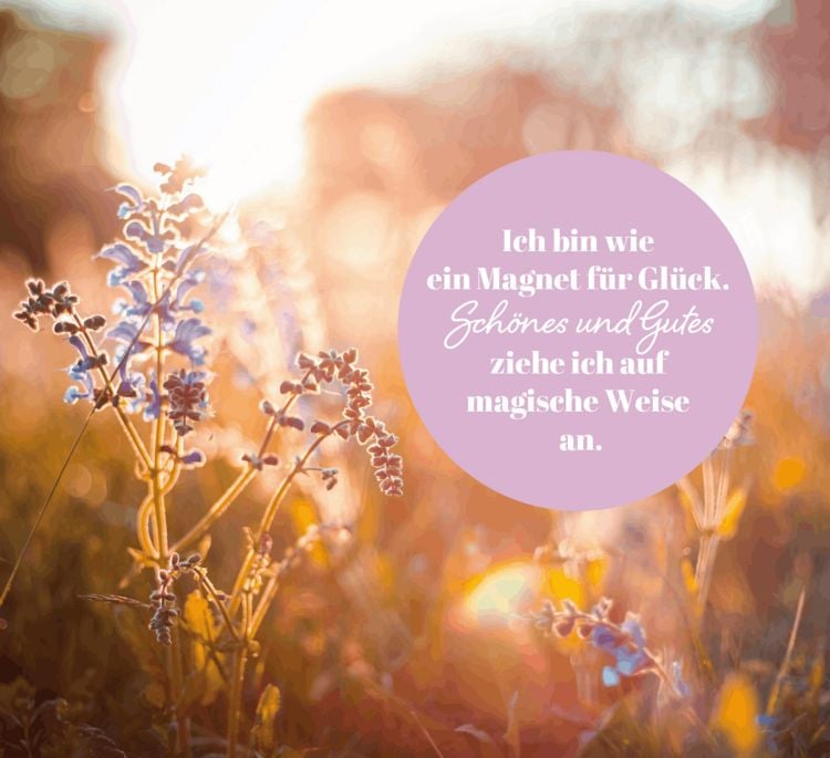 Produktbild: Lichtblicke f&uuml;r die Seele