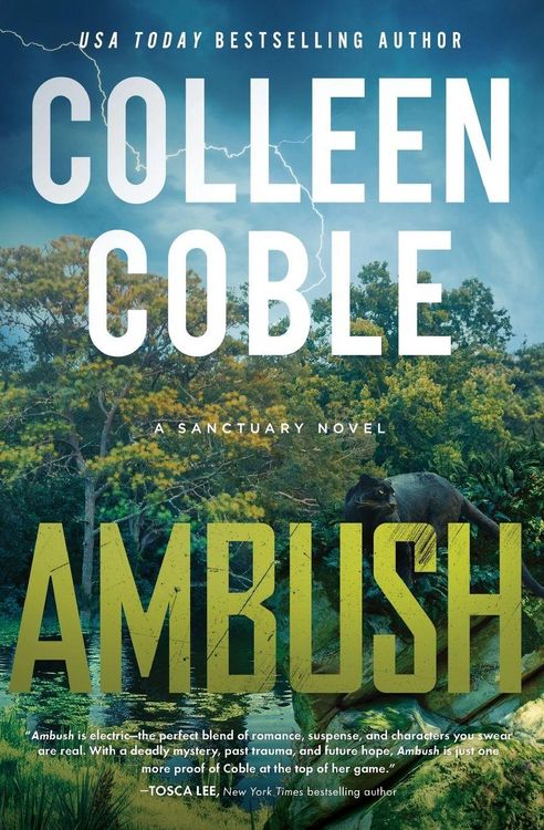 Produktbild: Ambush