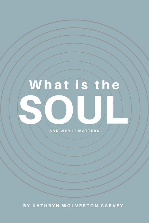 Produktbild: What Is the Soul and Why It Matters
