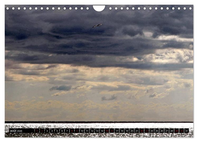 Produktbild: Un oc&eacute;an de lumi&egrave;re (Calendrier mural 2026 DIN A4 vertical), CALVENDO calendrier mensuel