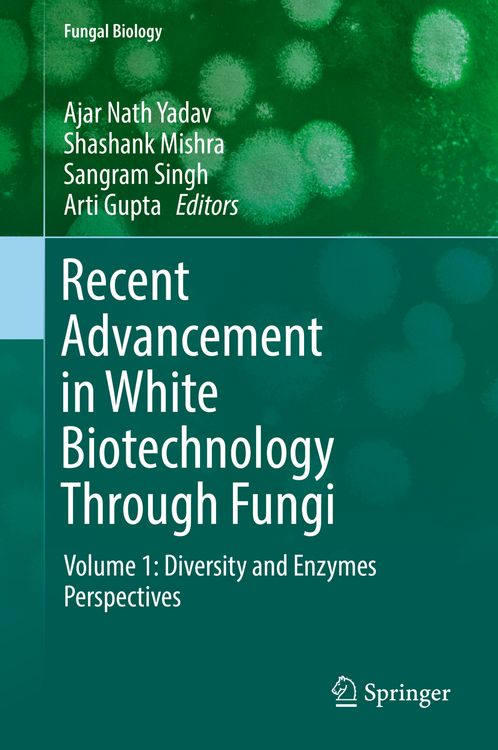 Produktbild: Recent Advancement in White Biotechnology Through Fungi