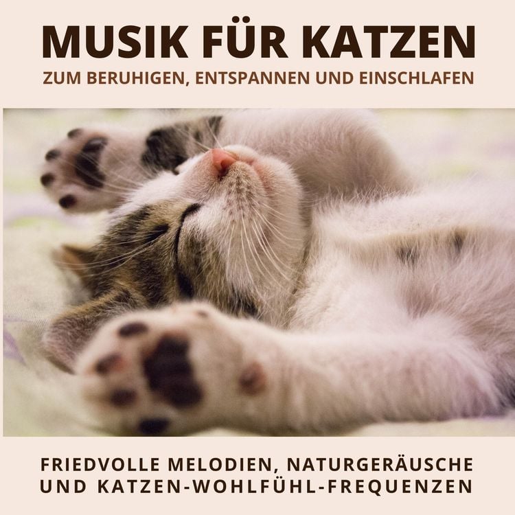 Produktbild: Musik f&uuml;r Katzen zum Beruhigen, Entspannen und Einschlafen