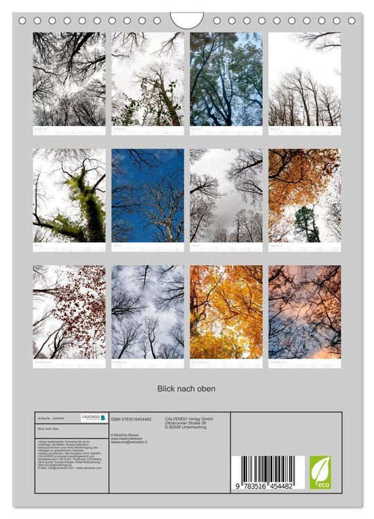 Produktbild: Blick nach oben (Wandkalender 2026 DIN A4 hoch), CALVENDO Monatskalender