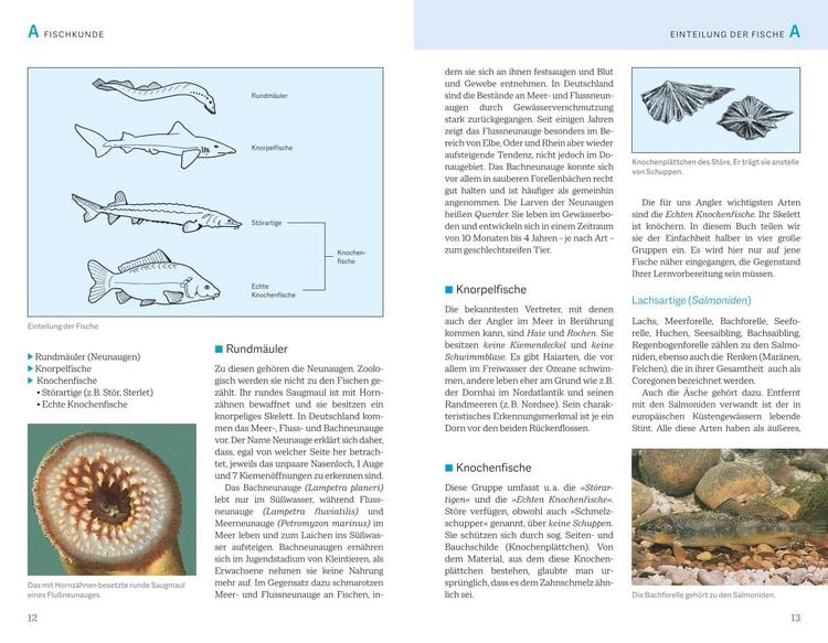 Produktbild: Fischerprüfung