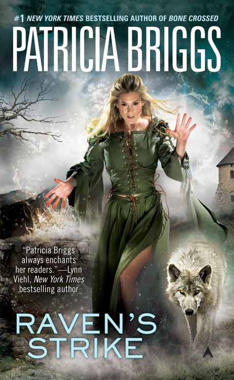 Produktbild: Raven's Strike