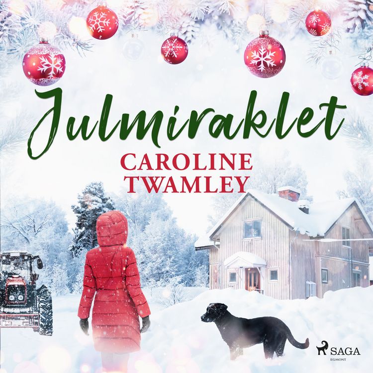 Produktbild: Julmiraklet