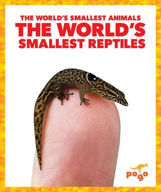 Produktbild: The World's Smallest Reptiles