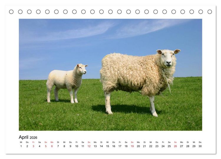 Produktbild: Sylt - Tage am Meer (Tischkalender 2026 DIN A5 quer), CALVENDO Monatskalender
