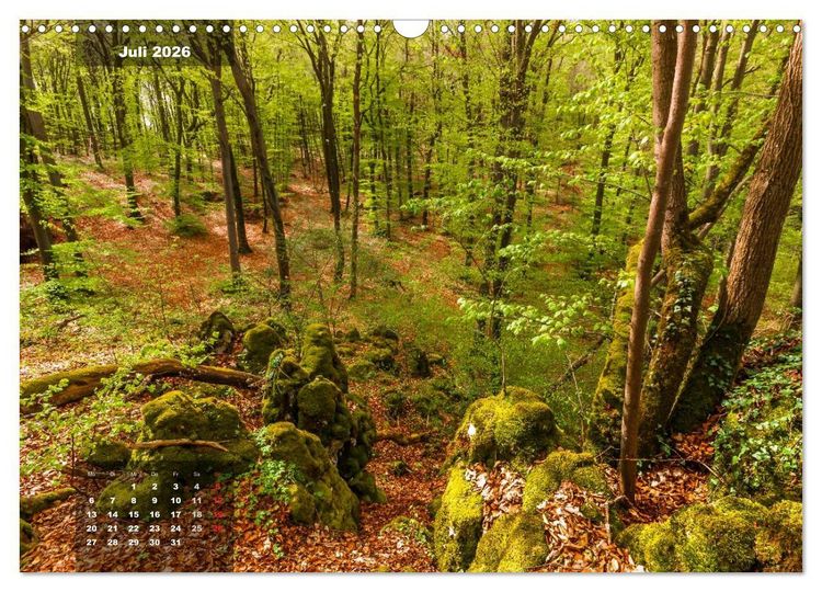 Produktbild: Zauberhafte Waldlandschaften (Wandkalender 2026 DIN A3 quer), CALVENDO Monatskalender