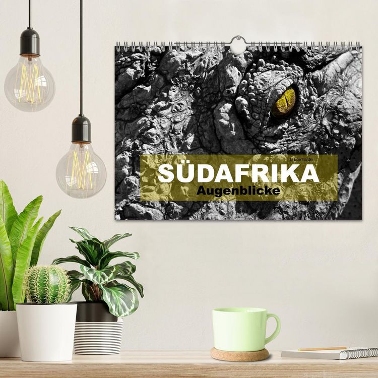 Produktbild: S&Uuml;DAFRIKA Augenblicke (Wandkalender 2026 DIN A4 quer), CALVENDO Monatskalender