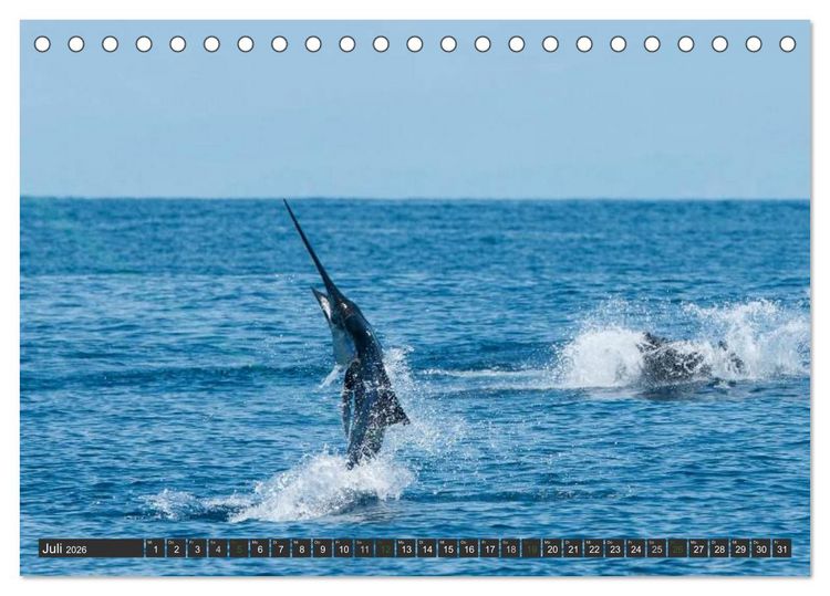 Produktbild: COSTA RICA - PURA VIDA (Tischkalender 2026 DIN A5 quer), CALVENDO Monatskalender