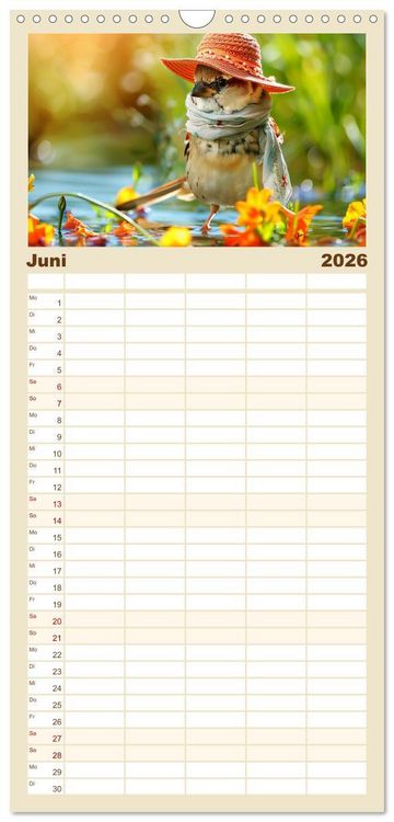 Produktbild: Familienplaner 2026 - Niedliche V&ouml;gel! Trendige Schnabelstars erobern die Modewelt mit 5 Spalten (Wandkalender, 21 x 45 cm) CALVENDO