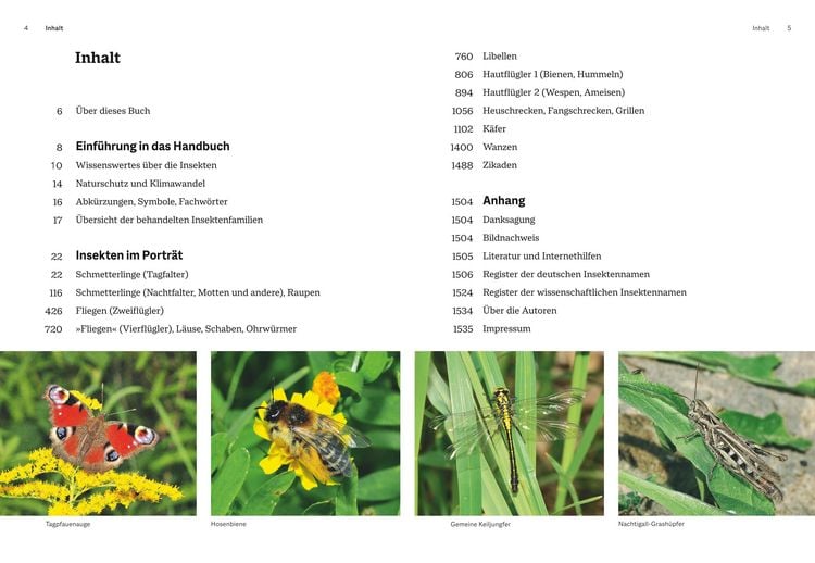Produktbild: Das gro&szlig;e BLV Handbuch Insekten
