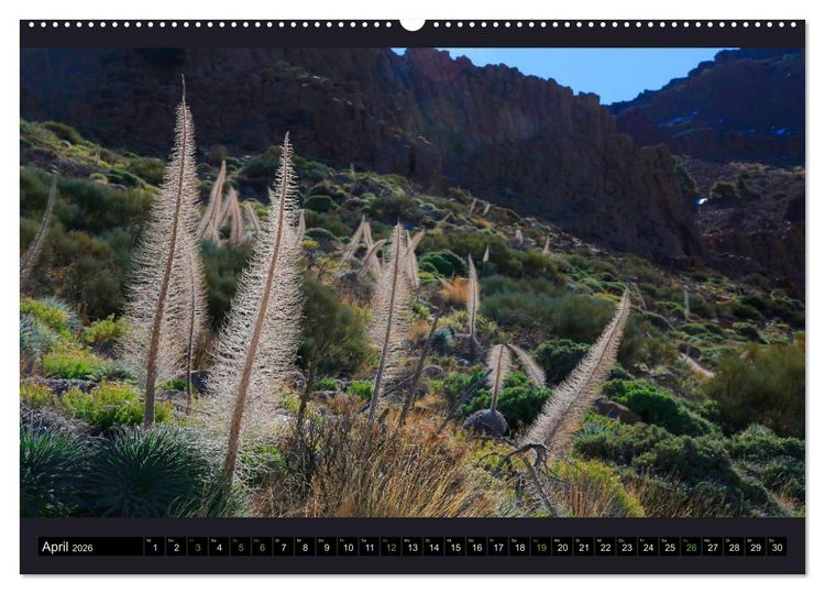 Produktbild: wildes Teneriffa (hochwertiger Premium Wandkalender 2026 DIN A2 quer), Kunstdruck in Hochglanz