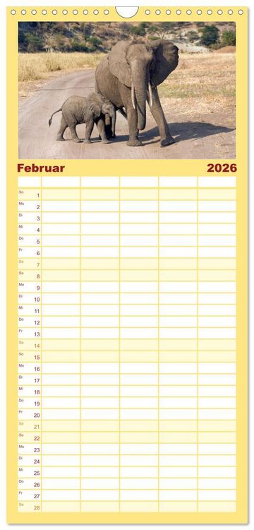 Produktbild: Familienplaner 2026 - Afrikas Tierwelt: Elefantenbabys mit 5 Spalten (Wandkalender, 21 x 45 cm) CALVENDO
