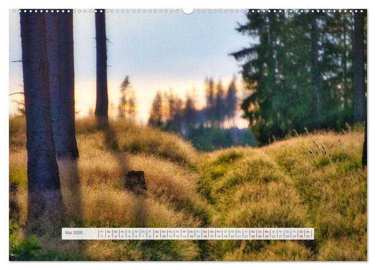 Produktbild: Traumhafte Waldstimmung am Rennsteig im Th&uuml;ringer Wald (hochwertiger Premium Wandkalender 2026 DIN A2 quer), Kunstdruck in Hochglanz