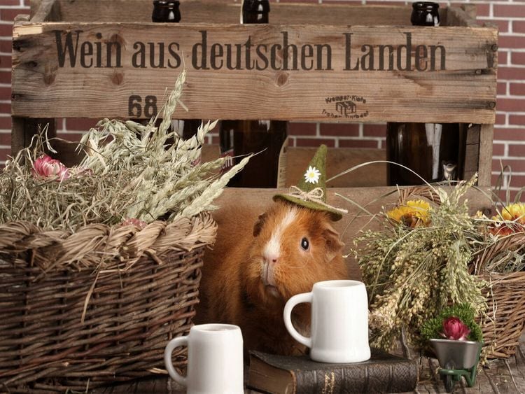 Produktbild: CALVENDO Puzzle Wiesn | 1000 Teile Lege-Gr&ouml;&szlig;e 64x48cm Foto-Puzzle f&uuml;r gl&uuml;ckliche Stunden