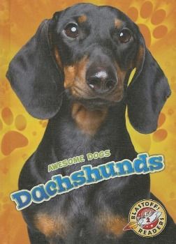 Produktbild: Dachshunds