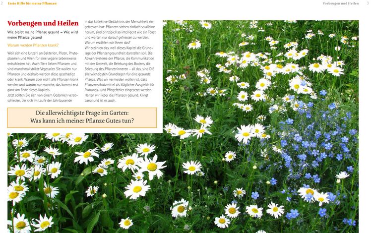 Produktbild: Handbuch Pflanzenschutz im Biogarten