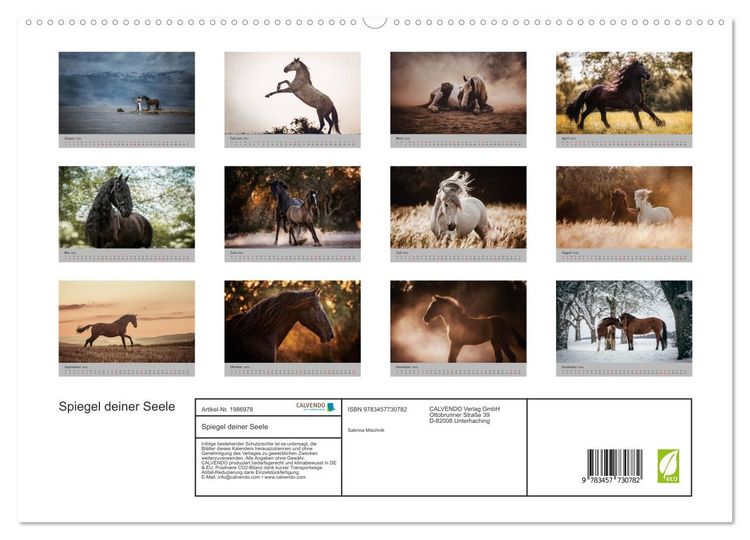 Produktbild: Spiegel deiner Seele (hochwertiger Premium Wandkalender 2026 DIN A2 quer), Kunstdruck in Hochglanz