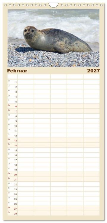 Produktbild: Familienplaner 2027 - Das Leben der Robben mit 5 Spalten (Wandkalender, 21 x 45 cm) CALVENDO