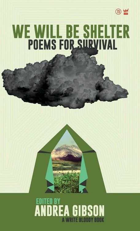 Produktbild: We Will Be Shelter