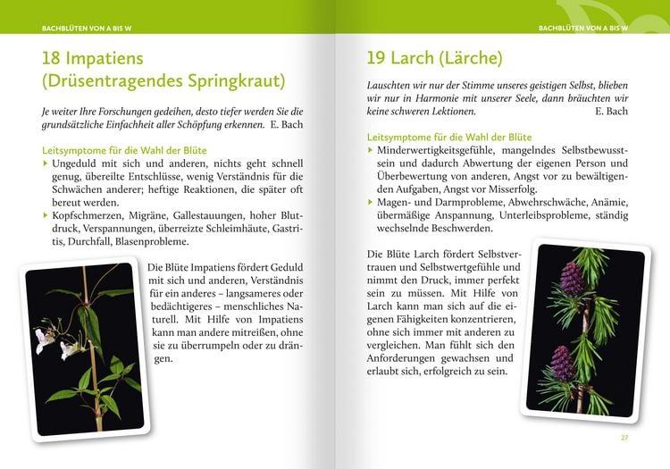 Produktbild: Heilen mit Bachbl&uuml;ten. Das Kartenset. Mit 42 Bachbl&uuml;ten-Karten und 46-seitigem Booklet