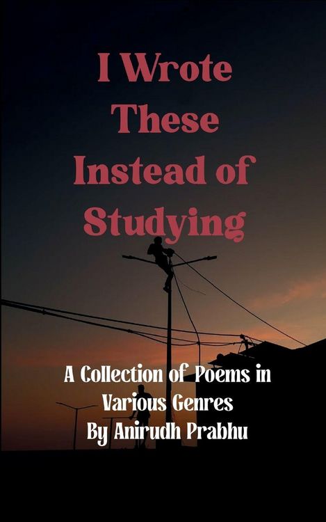 Produktbild: I Wrote These Instead of Studying