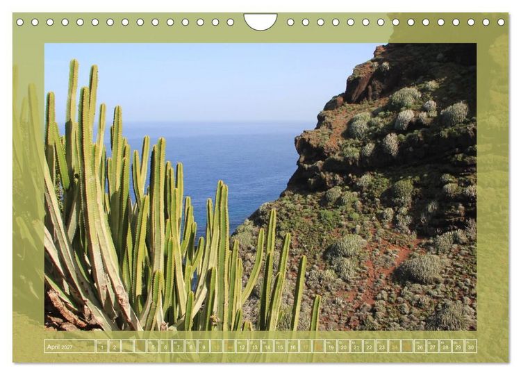 Produktbild: Wundersame Kanarenflora (Wandkalender 2027 DIN A4 quer), CALVENDO Monatskalender