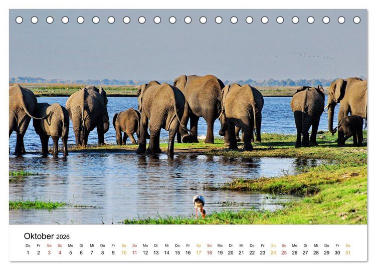 Produktbild: Elefanten Impressionen (Tischkalender 2026 DIN A5 quer), CALVENDO Monatskalender