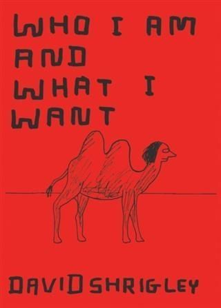 Produktbild: Who I Am and What I Want