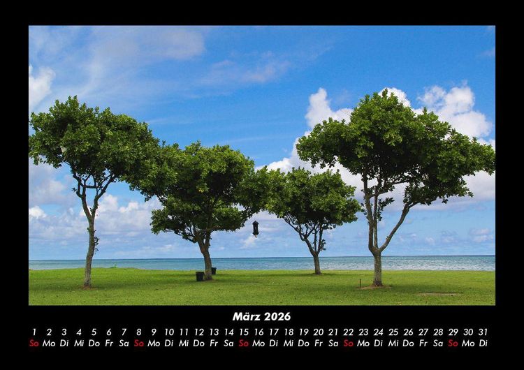 Produktbild: B&auml;ume 2026 Fotokalender DIN A3