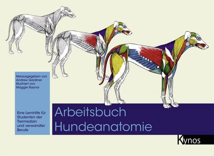 Produktbild: Arbeitsbuch Hundeanatomie