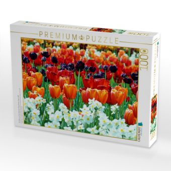 Produktbild: CALVENDO Puzzle Ein Motiv aus dem Kalender Farbenfrohe Tulpen 2017 | 1000 Teile Lege-Gr&ouml;&szlig;e 64x48cm Foto-Puzzle f&uuml;r gl&uuml;ckliche Stunden