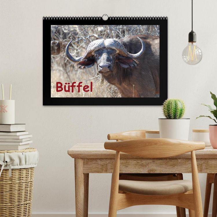 Produktbild: B&uuml;ffel (Wandkalender 2026 DIN A3 quer), CALVENDO Monatskalender