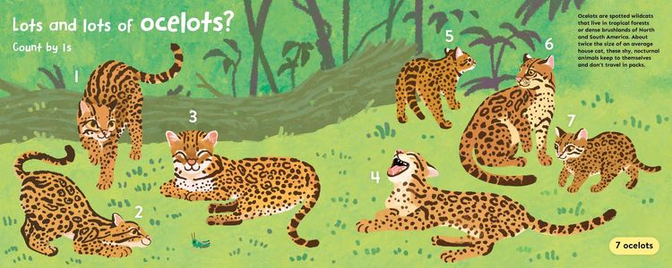 Produktbild: Lots and Lots of Ocelots