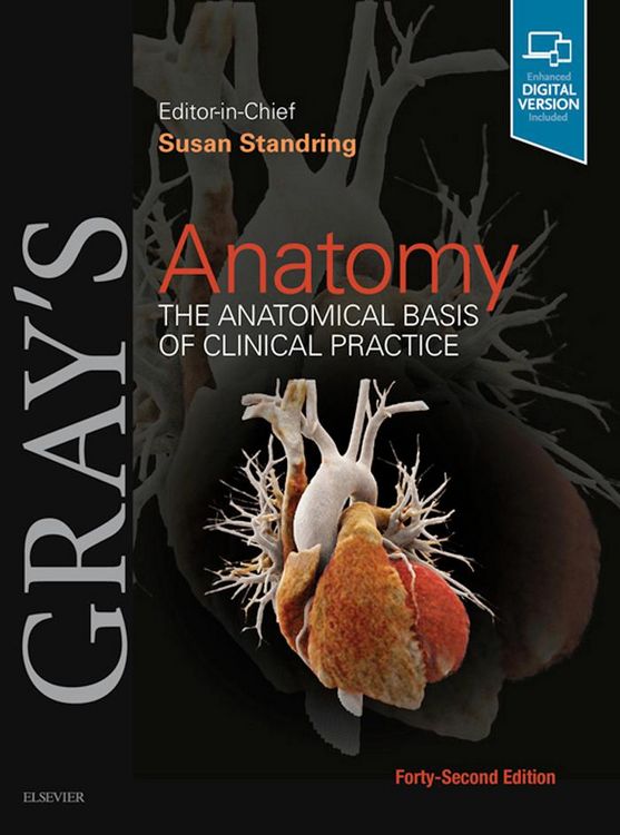 Produktbild: Gray's Anatomy E-Book