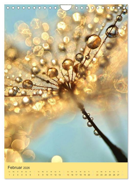 Produktbild: Natur-Romantik (Wandkalender 2026 DIN A4 hoch), CALVENDO Monatskalender