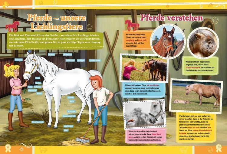 Produktbild: Bibi & Tina: Das gro&szlig;e Jubil&auml;umsbuch
