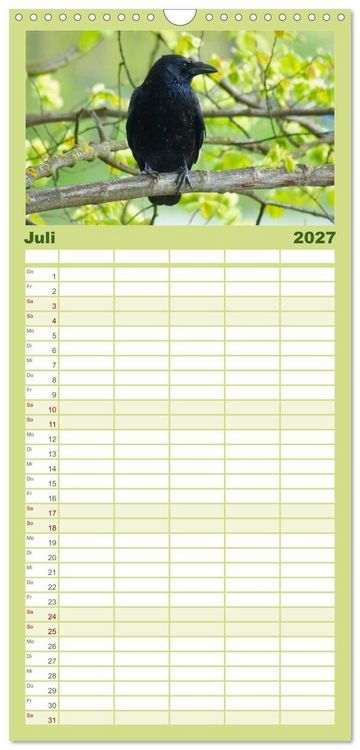 Produktbild: Familienplaner 2027 - Das Leben der Rabenv&ouml;gel mit 5 Spalten (Wandkalender, 21 x 45 cm) CALVENDO