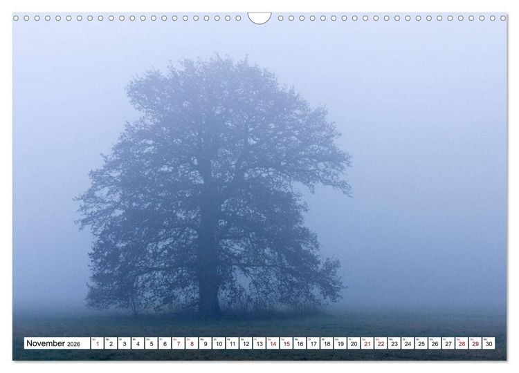 Produktbild: F&uuml;rstenfeldbruck - Streifzug durch Natur und Stadt (Wandkalender 2026 DIN A3 quer), CALVENDO Monatskalender