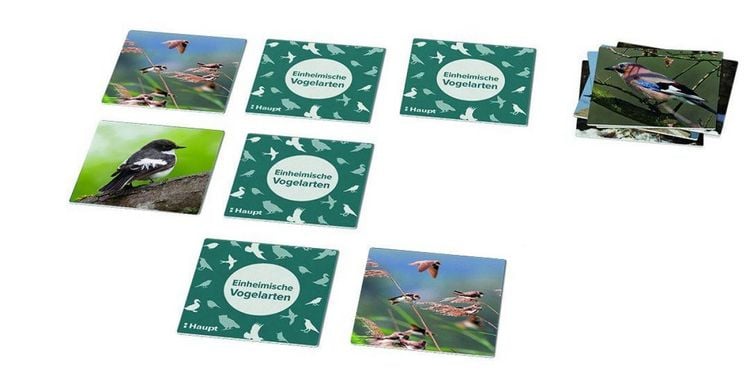Produktbild: Einheimische Vogelarten &ndash; das Memo-Spiel
