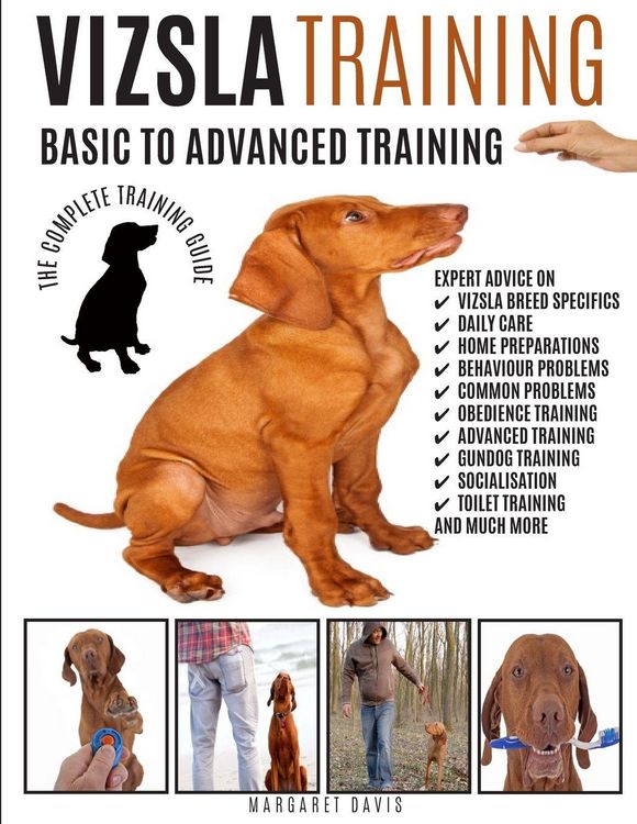 Produktbild: Vizsla Training