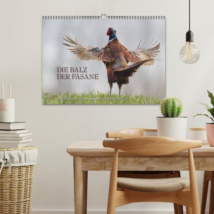 Produktbild: Emotionale Momente: Die Balz der Fasane / CH-Version (Wandkalender 2026 DIN A3 quer), CALVENDO Monatskalender