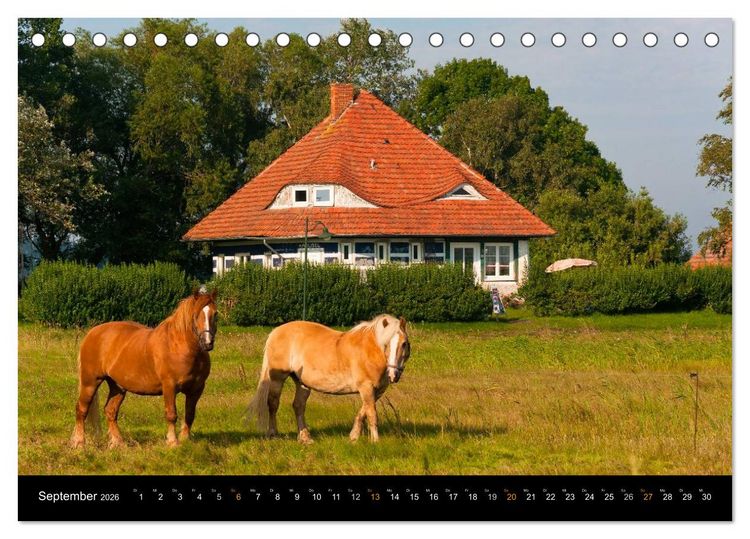 Produktbild: Sehnsucht Hiddensee 2026 (Tischkalender 2026 DIN A5 quer), CALVENDO Monatskalender