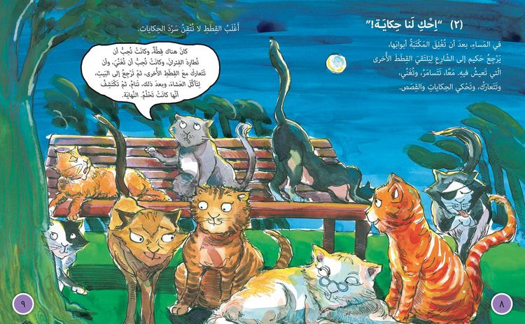 Produktbild: Big Cat Arabic - Hakims Tale