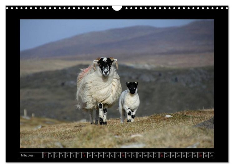 Produktbild: Schottlands wilder Westen (Wandkalender 2026 DIN A3 quer), CALVENDO Monatskalender