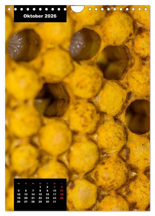 Produktbild: Bienen in ihrem geheimen Reich (Wandkalender 2026 DIN A4 hoch), CALVENDO Monatskalender