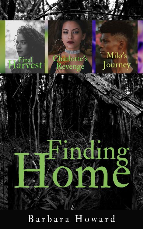 Produktbild: Finding Home Mystery Series