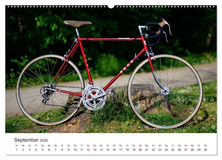 Produktbild: Stahlrenner - Rennrad-Klassiker aus Europa (hochwertiger Premium Wandkalender 2026 DIN A2 quer), Kunstdruck in Hochglanz